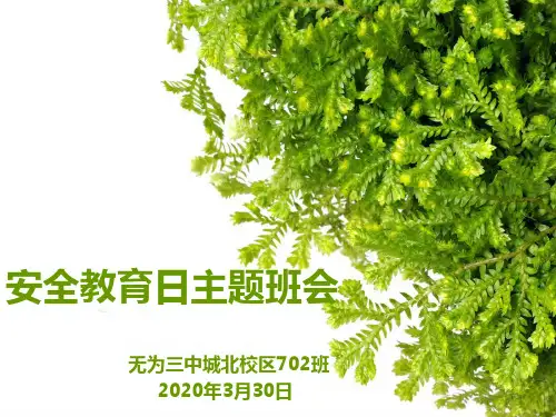 2020年3月30日第25个全国中小学安全教育日主题班会课件