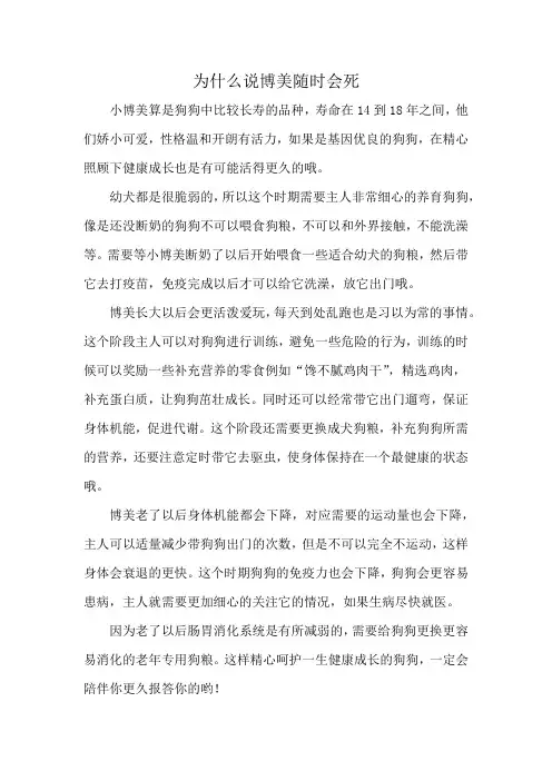 为什么说博美随时会死