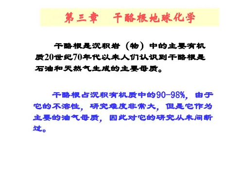 4-第三章 干酪根1