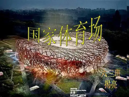 国家体育场