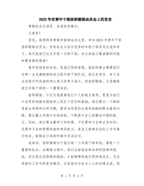 2023年在青年干部挂职锻炼动员会上的发言