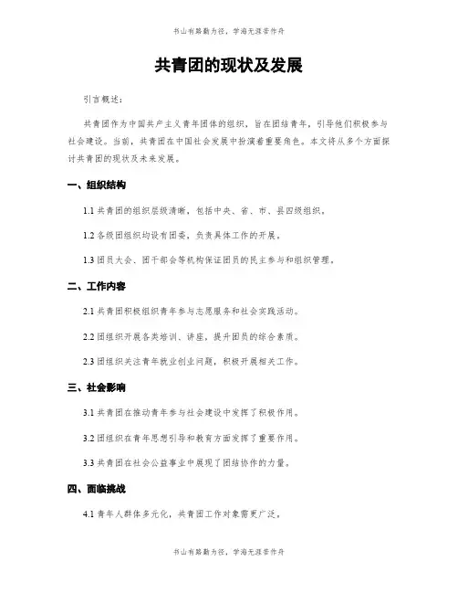 共青团的现状及发展