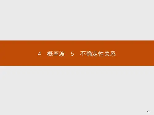 高中物理人教版选修3-5课件：17.4-17.5 概率波 不确定性关系