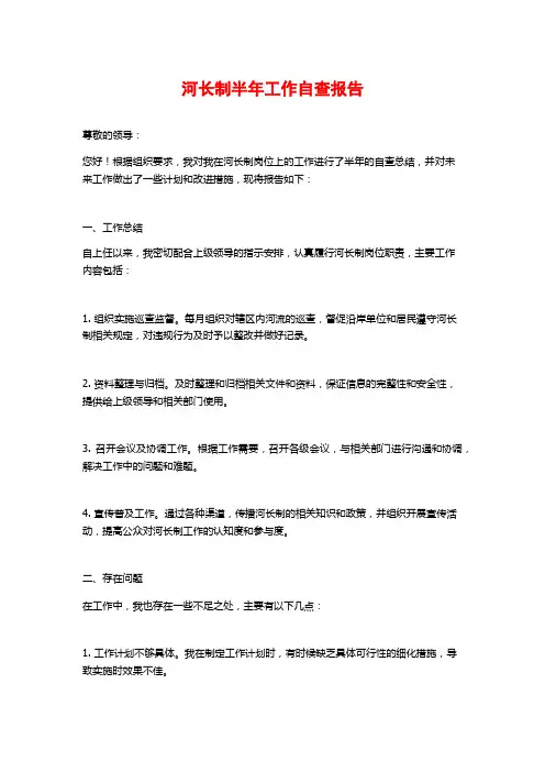 河长制半年工作自查报告 (2)