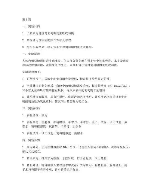 家兔糖定性实验报告(3篇)