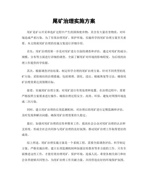 尾矿治理实施方案