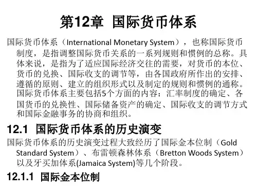 国际经济学第12章