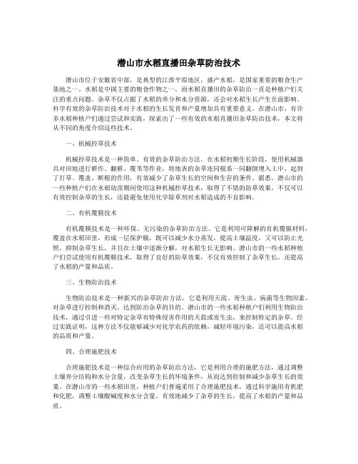 潜山市水稻直播田杂草防治技术