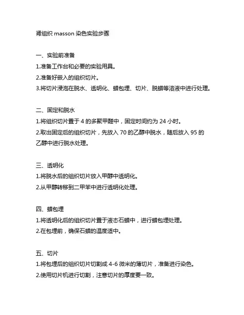 肾组织masson染色实验步骤