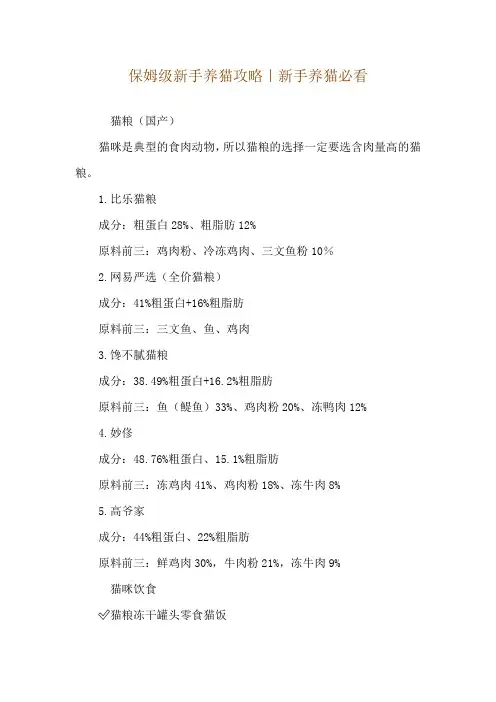 保姆级新手养猫攻略｜新手养猫必看