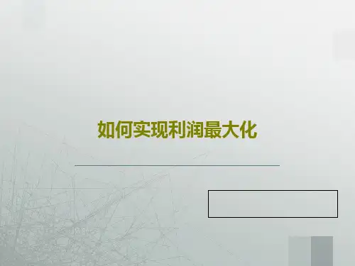 如何实现利润最大化55页PPT