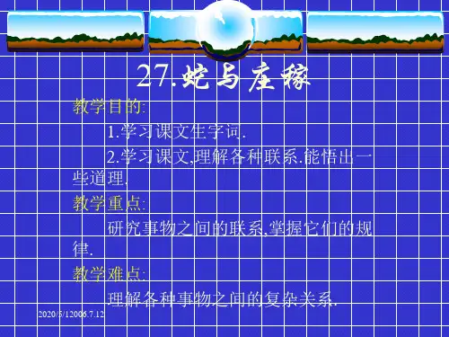 《蛇与庄稼》课件.ppt