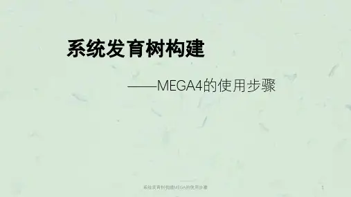 系统发育树构建MEGA的使用步骤课件