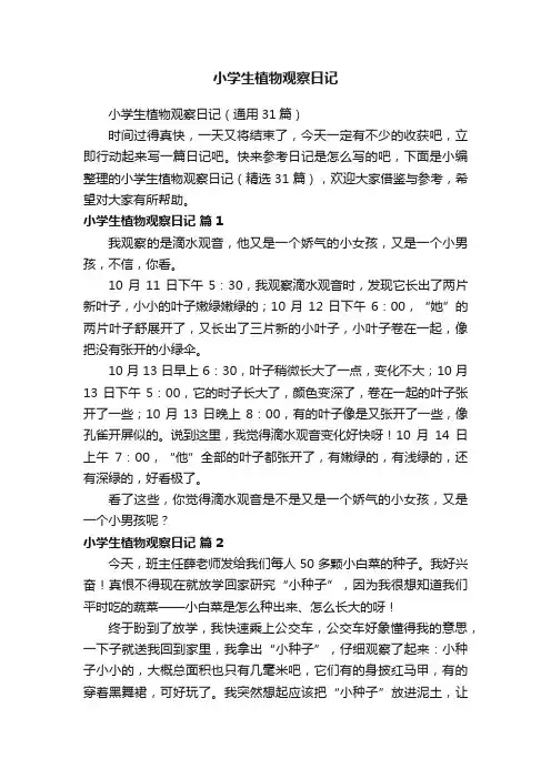 小学生植物观察日记（通用31篇）
