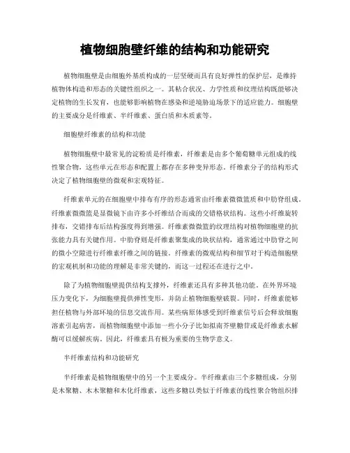 植物细胞壁纤维的结构和功能研究