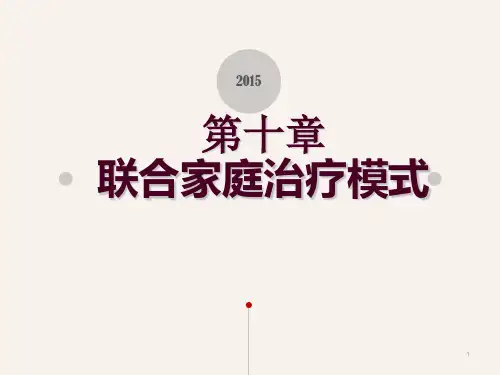 联合家庭治疗模式ppt课件