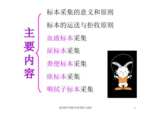 临床微生物标本的采集与送检培训课件