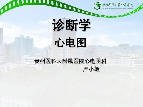 诊断学心电图