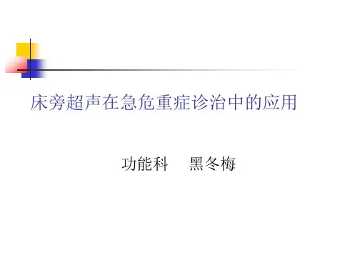 床旁超声在急危重症诊治中的应用