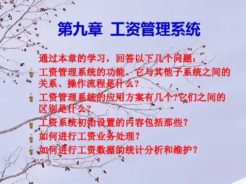 第九章-会计电算化-工资管理系统
