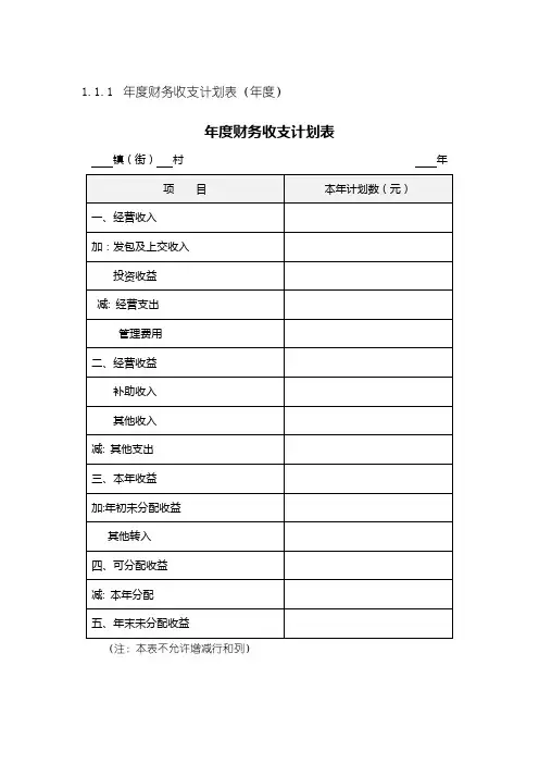 村财务信息报表