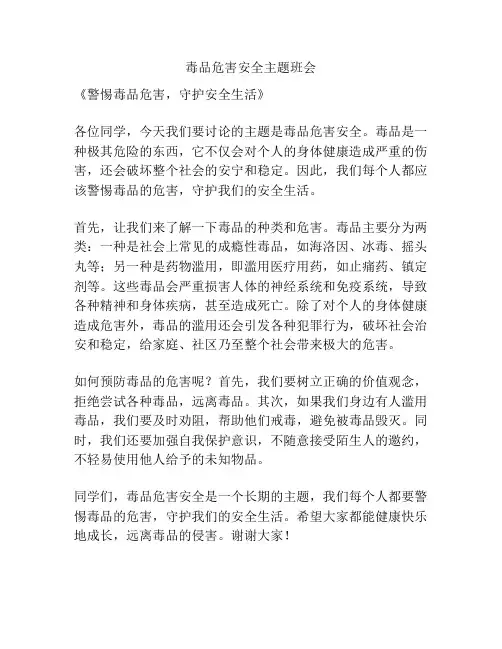 毒品危害安全主题班会