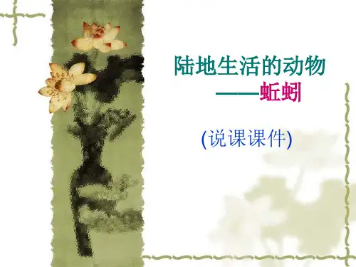 《蚯蚓》说课精选教学优质PPT课件