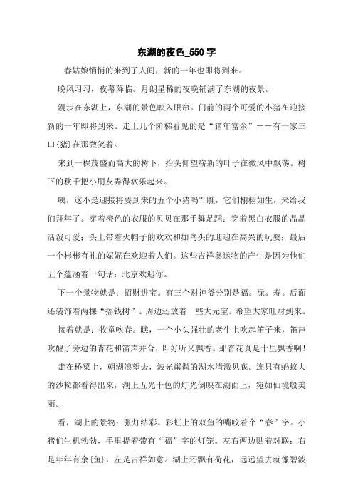东湖的夜色_550字