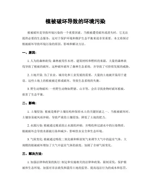 植被破坏导致的环境污染