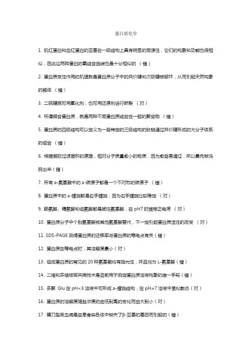 蛋白质化学练习题