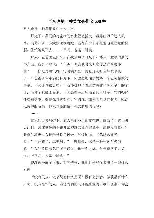 平凡也是一种美优秀作文500字
