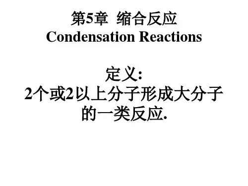 第5章-缩合反应091019