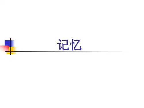 第六章 记忆(1)