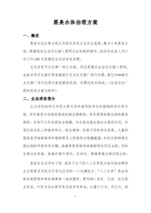 黑臭水体污水治理方案