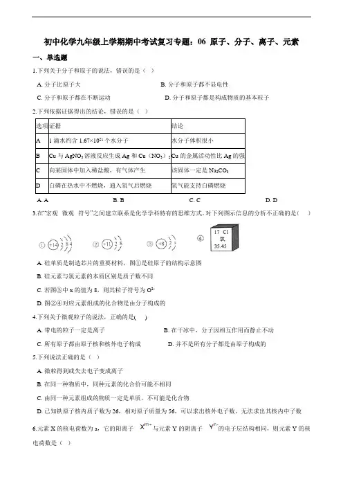 初中化学九年级上学期期中考试复习专题：06 原子、分子、离子、元素  练习（含答案）