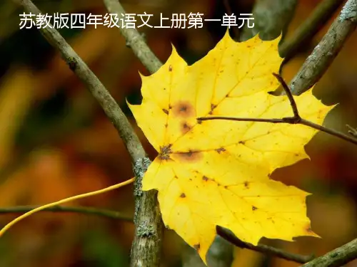 (苏教版)四年级语文上册秋天4PPT课件