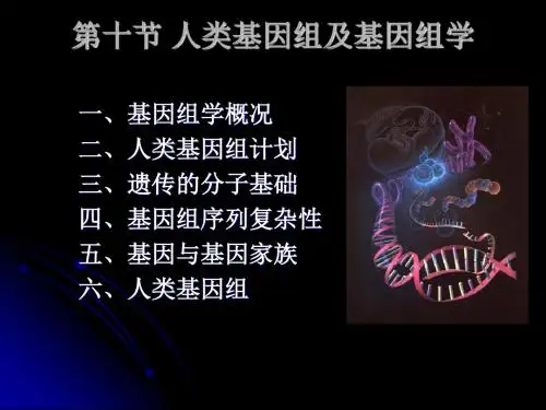 基因及基因组学