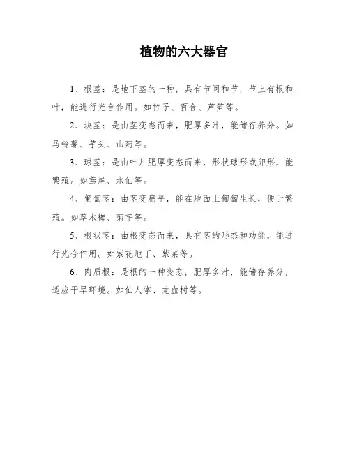植物的六大器官