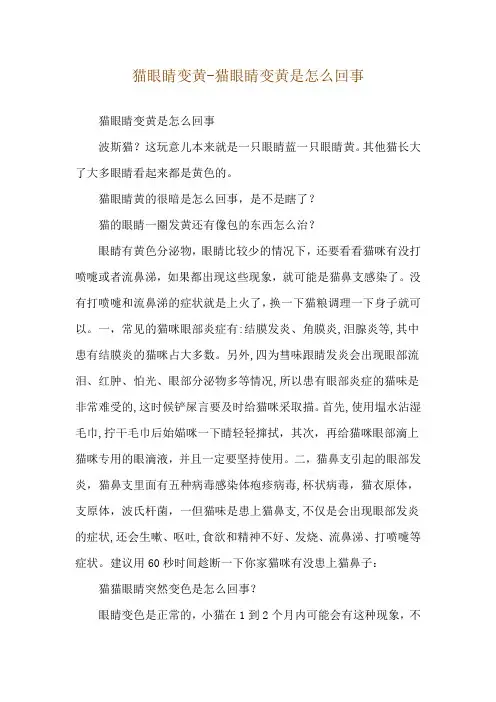 猫眼睛变黄-猫眼睛变黄是怎么回事