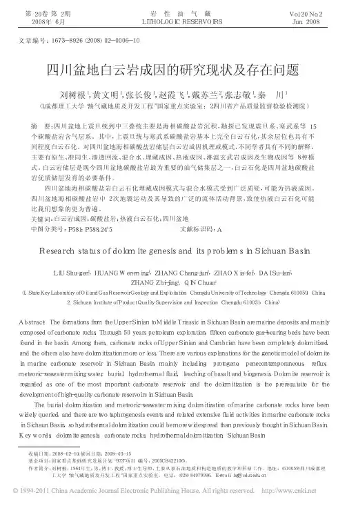 四川盆地白云岩成因的研究现状及存在问题