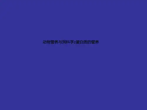 动物营养与饲料学2蛋白质的营养