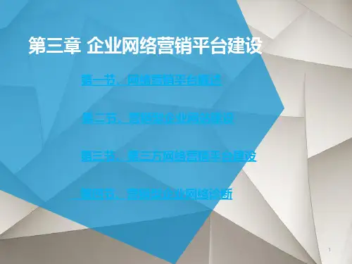 第三章企业网络营销平台建设PPT课件
