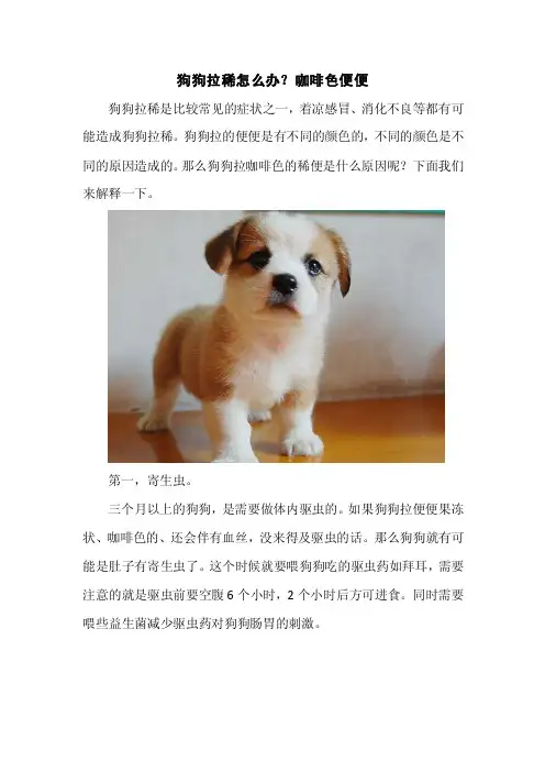 狗狗拉稀怎么办？咖啡色便便