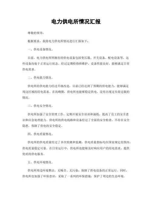 电力供电所情况汇报