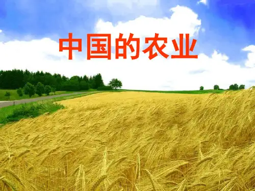 人教版八年级上册地理4.2农业(共66张PPT)