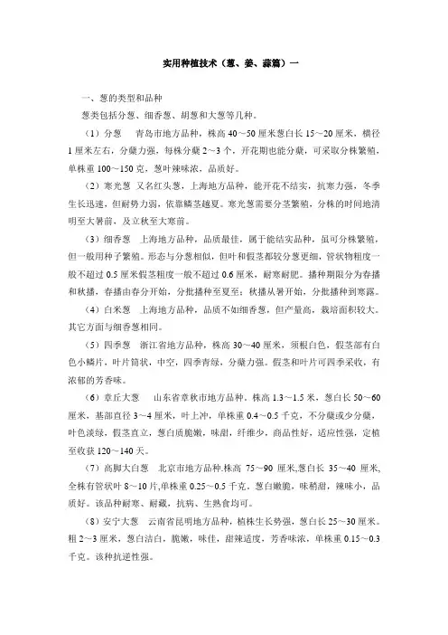 葱蒜栽培技术
