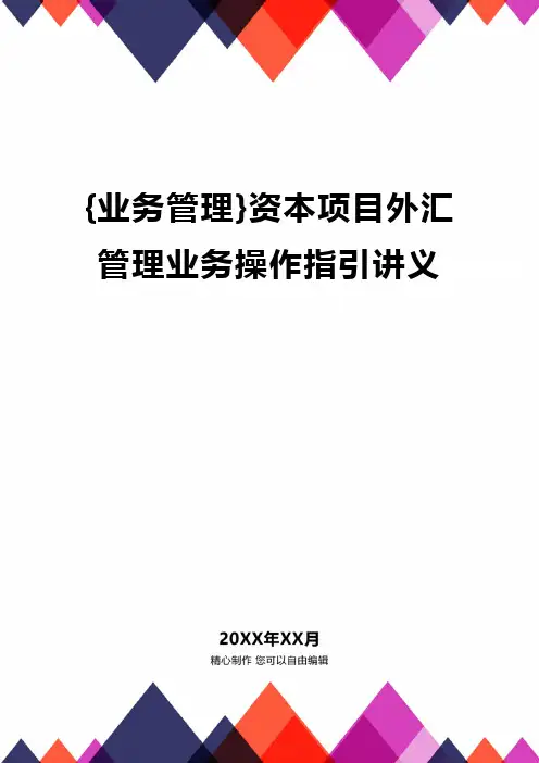 {业务管理}资本项目外汇管理业务操作指引讲义精编