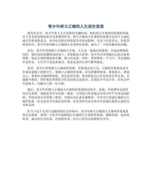 青少年树立正确的人生观价值观作文