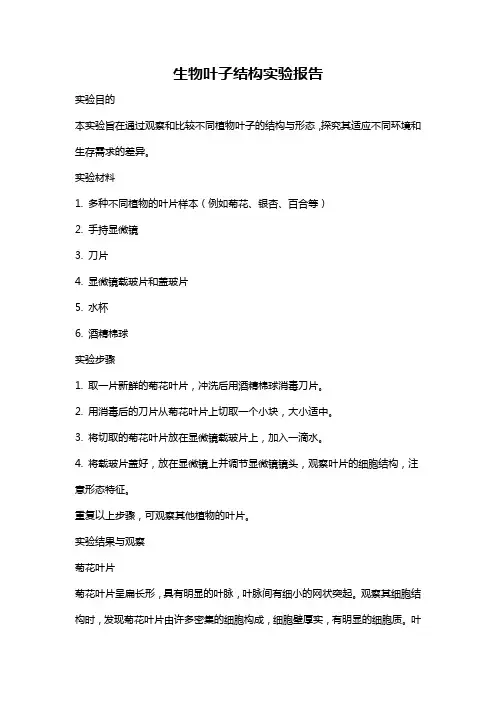生物叶子结构实验报告