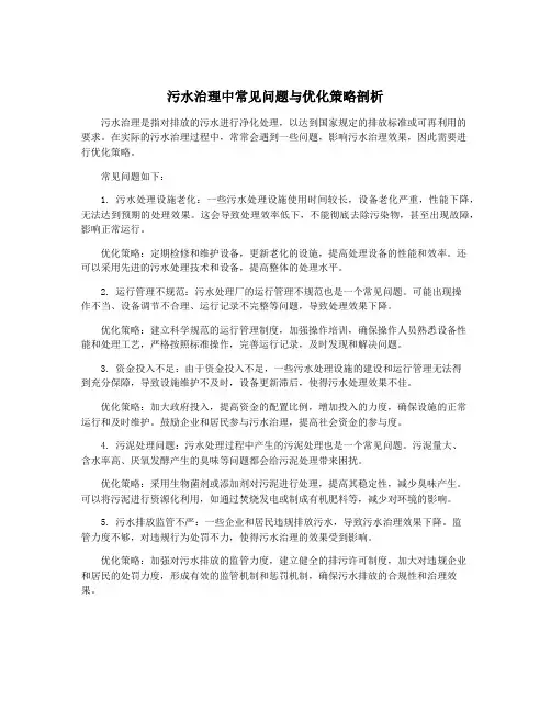 污水治理中常见问题与优化策略剖析